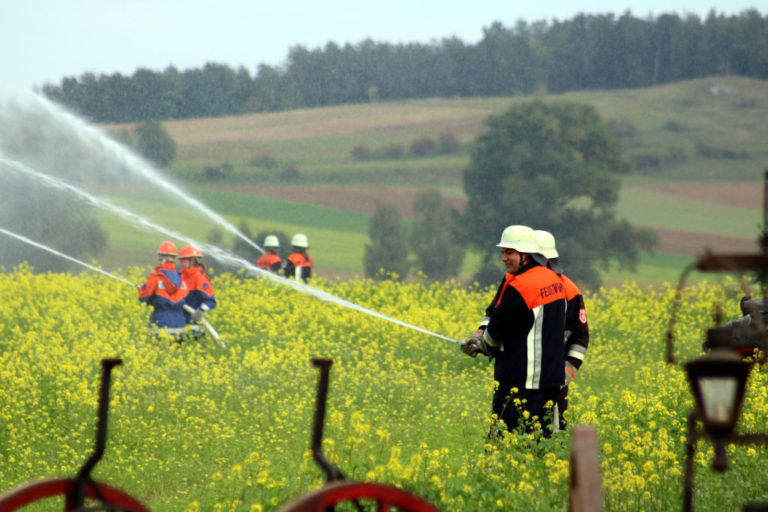 Extremhitze Trockenheit Und Wind Gefahr Von Katastrophalen Br Nden In Der Vegetation Steigt